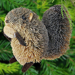 Brushart Buri Bristle Brush Animals